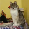 Отзыв от Инна Барсукова